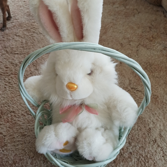 LG Easter Basket & Bunny !! - Picture 2 of 16